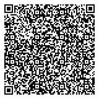 vCard 79803555029