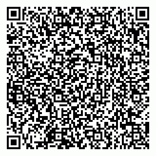 vCard 79803565396