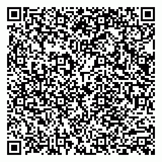 vCard 79803892639