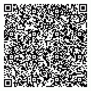 vCard 79803892873