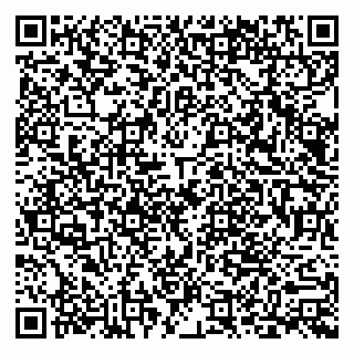 vCard 79803892938