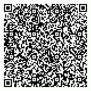 vCard 79803892939