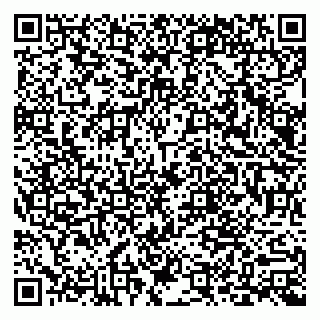 vCard 79803892940