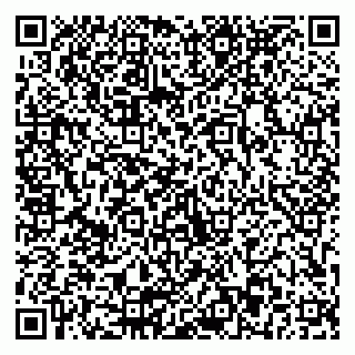 vCard 79803893003