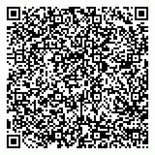 vCard 79803893008