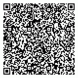 vCard 79803893009
