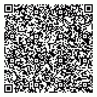 vCard 79803893011