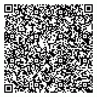 vCard 79803893020