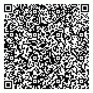 vCard 79803893021