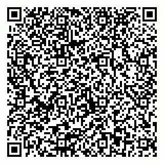 vCard 79803893029
