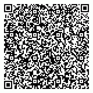 vCard 79803893038