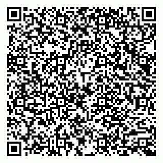 vCard 79803893073