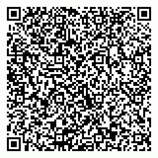 vCard 79803893106