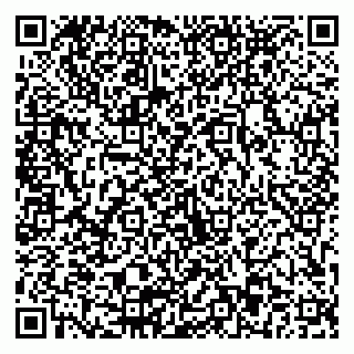 vCard 79803893113