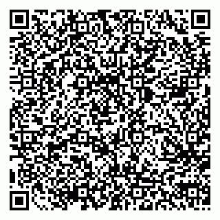 vCard 79803893125