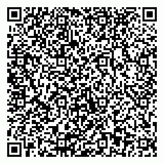 vCard 79803893128