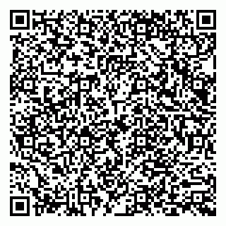 vCard 79803893133