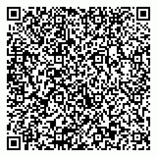 vCard 79803893136