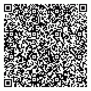 vCard 79803893137