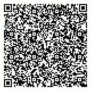 vCard 79803893171