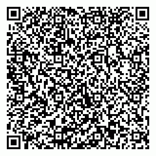 vCard 79803893173