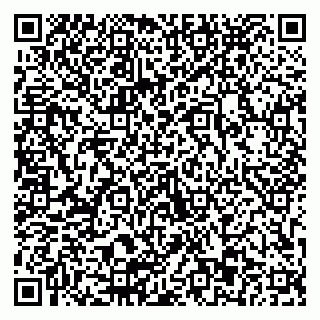 vCard 79803893174