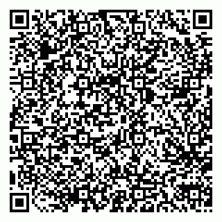 vCard 79803893176