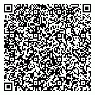vCard 79803893180