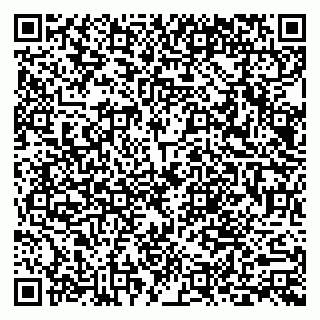 vCard 79803893181