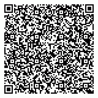 vCard 79803893189