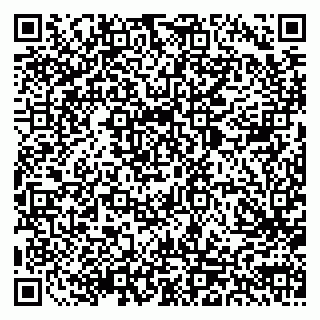 vCard 79803893199