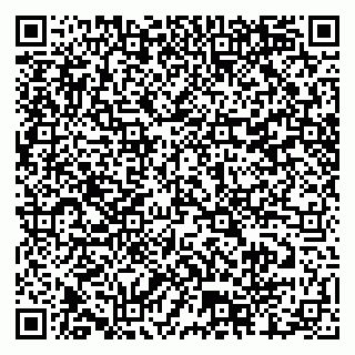 vCard 79804440208