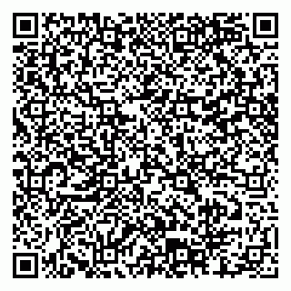 vCard 79804440210