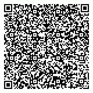 vCard 79804440295