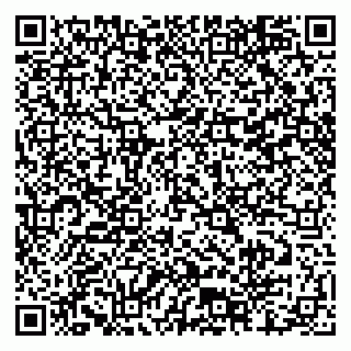 vCard 79804440304