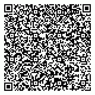 vCard 79804440311
