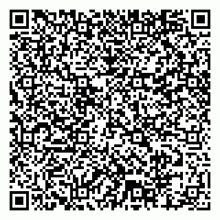 vCard 79804440313