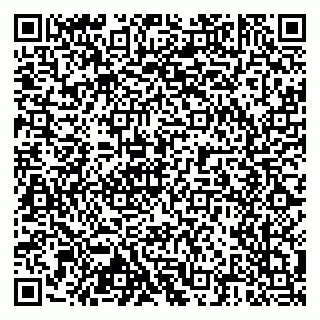 vCard 79804440330