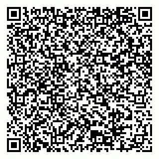 vCard 79804440331