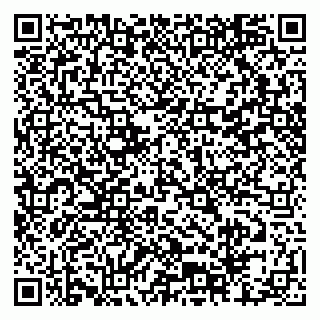 vCard 79804440333