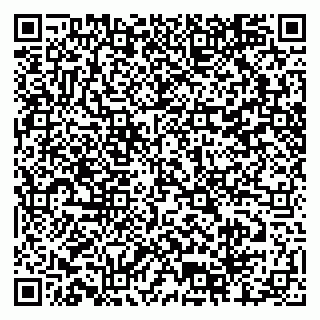 vCard 79804440338