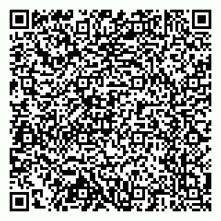 vCard 79804440353