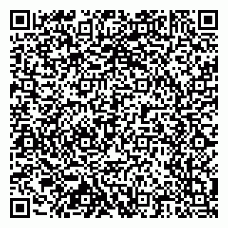 vCard 79804440355