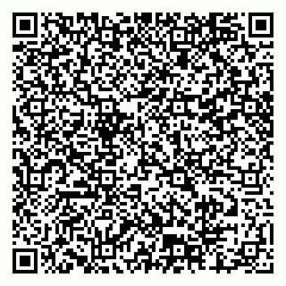 vCard 79804440371