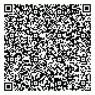 vCard 79804440379