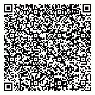 vCard 79804440382