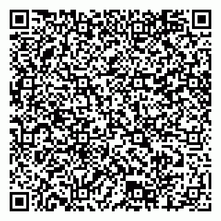 vCard 79804440388