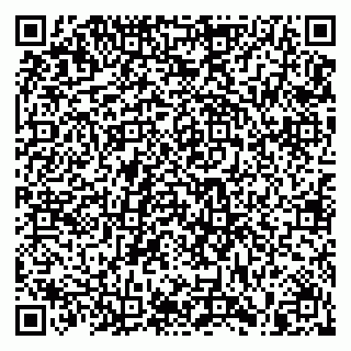 vCard 79805100096
