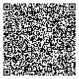 vCard 79805100110