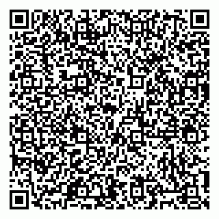 vCard 79805100137
